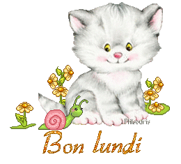 cute cat 1990